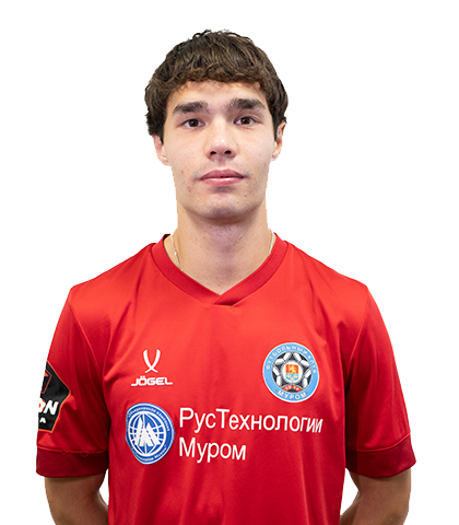 Васильев Владислав Александрович